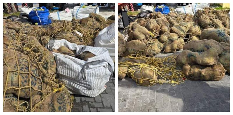 ހުއްޓުމެއްނެތި އައްޑޫސިޓީއަށް އިންޑިއާއިން މުދާ ގެނެވޭނެ، އިއްޔެ އެކަނި 150 ޓަނުގެ ތަރުކާރީ އާއި މޭވާ!