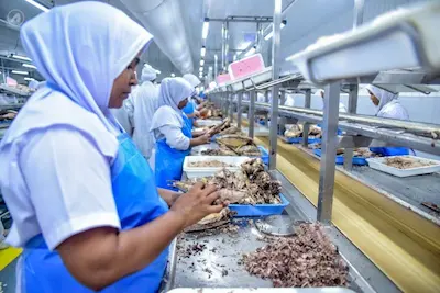 ޙައްޤު ގޮތުގައި ރިޒްޤު ހޯދާން މަސައްކަތްކުރާ މީހާ، ﷲގެ މަގުގައި ޖިހާދުކުރާ މީހެއް ފަދަ!
