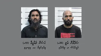 ރަސްފަންނު ގަހެއްގެ ދަށުގަ ބާއްވާފައޮތް ދަބަހެއް ނެގި ދެމީހަކު ހައްޔަރު ކޮށްފި