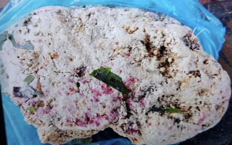 ކޮލަމާފުށިން 3 ހުދަންބަރު ހޮވައިފި