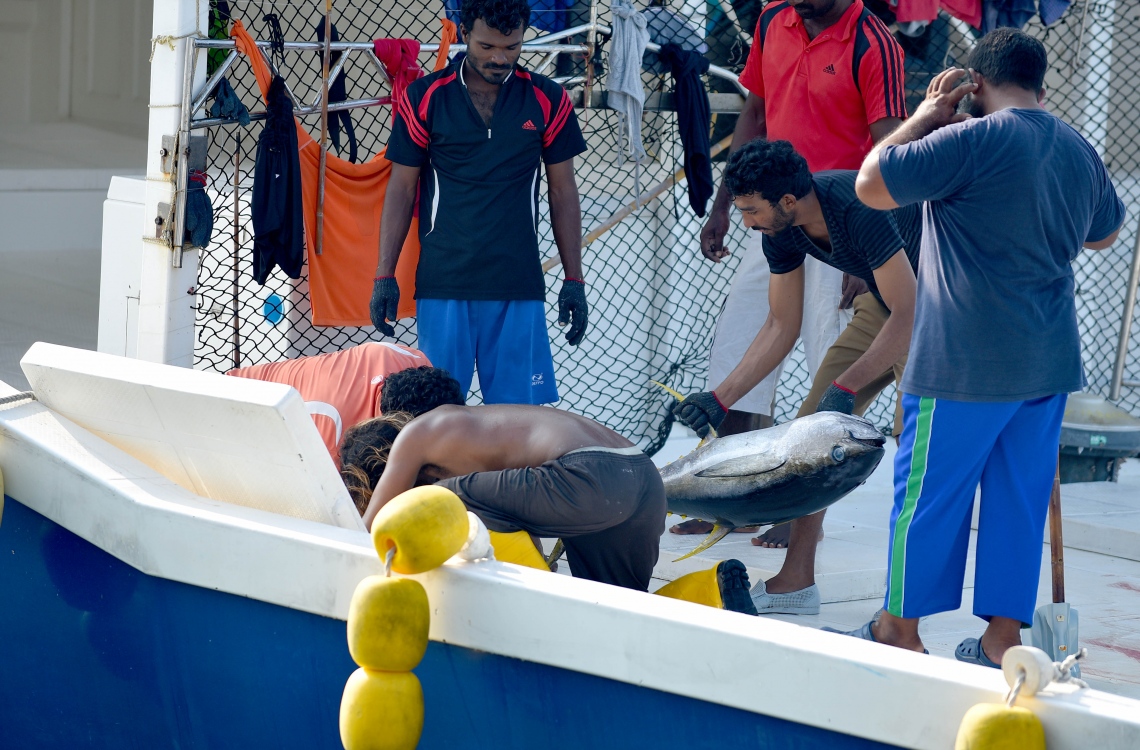 ލޭނު މަސްވެރިކަމުގެ ގަވާއިދުގައި މޮނިޓަރ ކުރުމާއި ކޮންޓްރޯލު ކުރުމާއި ސަރވޭލަންސްއާގުޅޭ ފިޔަވަޅުތައް ކަނޑައަޅައިފި