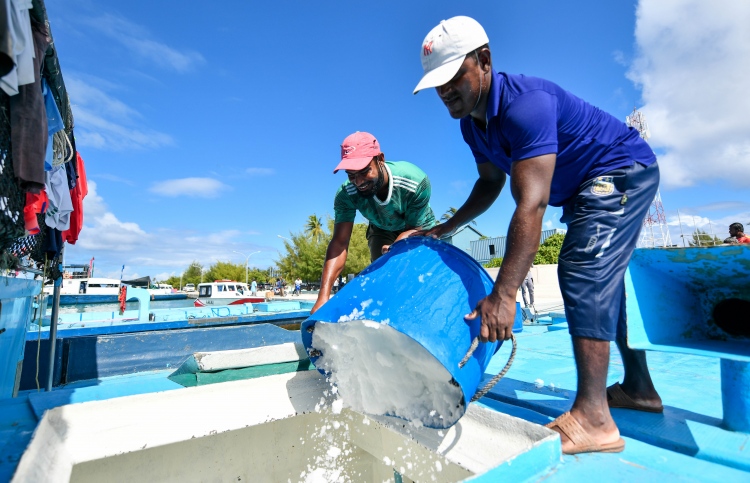 މަސްވެރިން މަހަށް ފުރުވުމަށް ހިތްވަރު ދިނުމުގެ ގޮތުން، މަސްކިރާ ދޯނިތަކަށް ކްރެޑިޓަށް އައިސް ދެނީ: މިފްކޯ