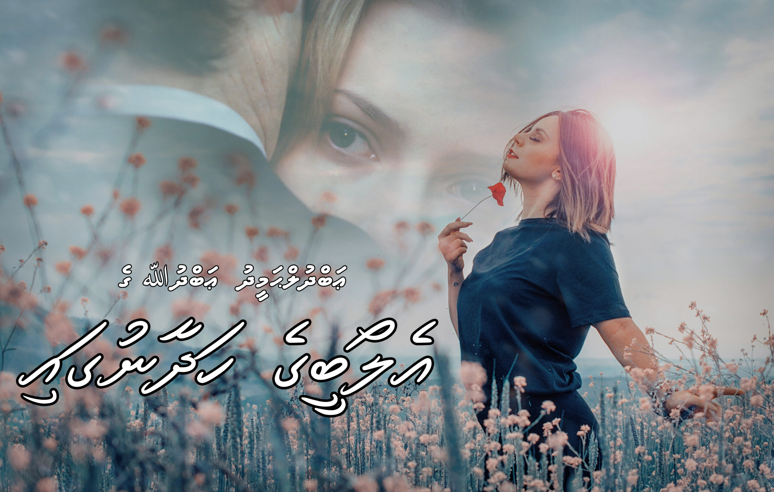އެލޯބީގެ ހަދާނުގައި