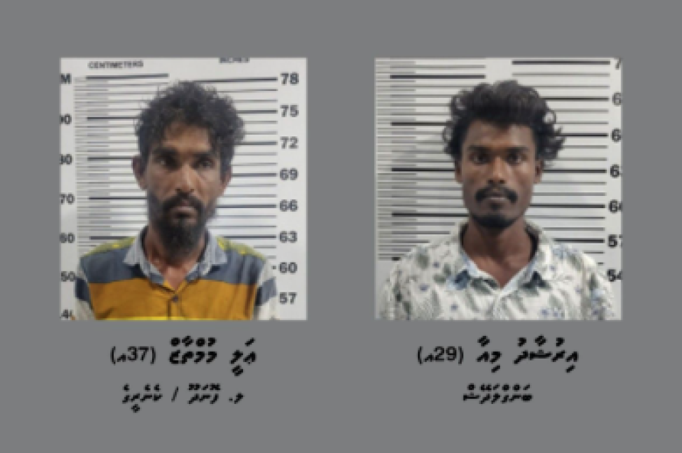 ވިލިނގިއްޔަށް މަސްތުވާތަކެތި އެތެރެކުރަން އުޅުނު ދެ މީހުންގެ ބަންދަށް 15 ދުވަސް