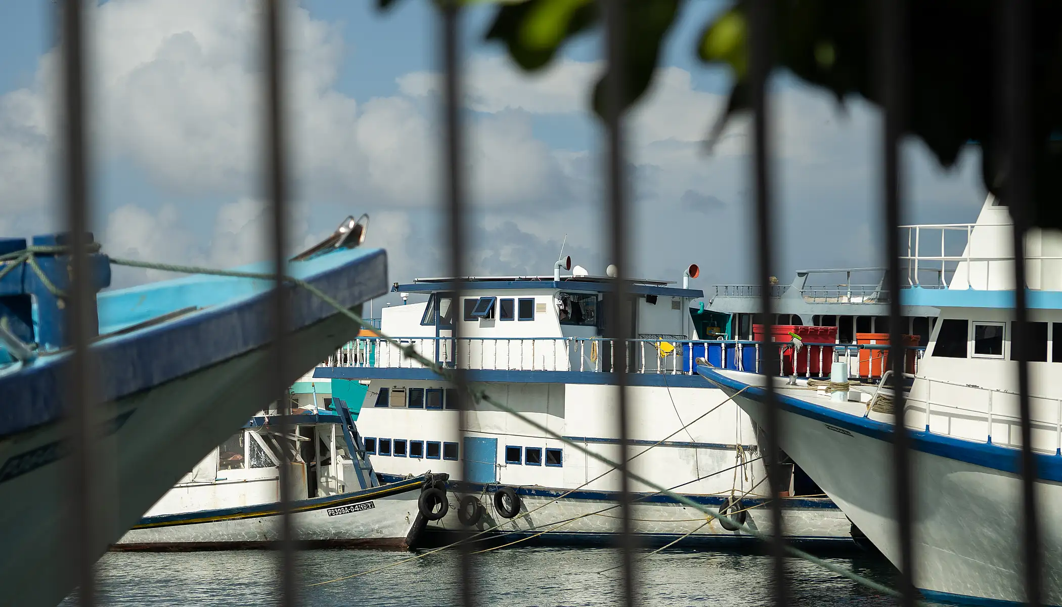 ގަވާއިދާއި ޚިލާފަށް މާލޭ ފަޅުގައި އަޅާފައިވާ އުޅަނދުތަކުގައި، ވަގަށް ނަގާ ތަކެތި ރައްކާކުރަނީ