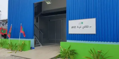 މަޑުއްވަރީ އައިސް ޕްލާންޓު މިފްކޯގެ ދަށަށް!