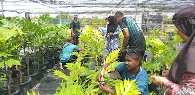 ހދ.އަތޮޅުގެ ދަނޑުވެރިންގެ ހުނަރު އިތުރުކުރުމަށް ޕްރޮގްރާމެއް ފަށައިފި