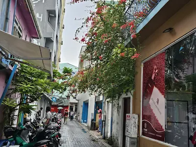 ބީއެމްއެލްއިން މާލޭގެ ދެ ގެއެއް ނީލަމުގައި ވިއްކާލަނީ