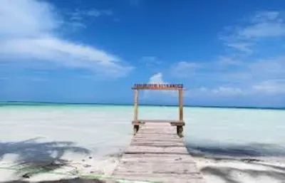 ވޭމަންޑޫ ގޮނޑުދޮށް ހިމާޔަތް ކުރުމާއި، ކުނި މެނޭޖު ކުރެވޭނެ ގޮތް ހައްލު ކުރަނީ