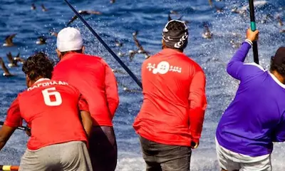 މި ހަފުތާގައި މަސްވެރިންނަށް ފައިސާ ޖަމާކުރެވޭތޯ ކެނޑިނޭޅި ދަނީ މަސައްކަތް ކުރެވެމުން: މިފްކޯ