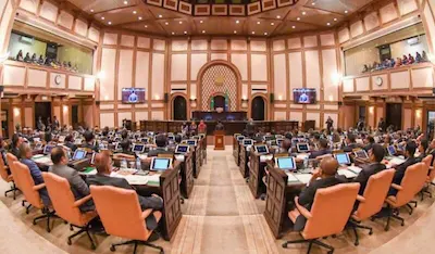 ސިނގިރޭޓާއި ވޭޕްގެ ޑިއުޓީ ބޮޑު ކުރުމުގެ ބިލު ކޮމިޓީއަށް