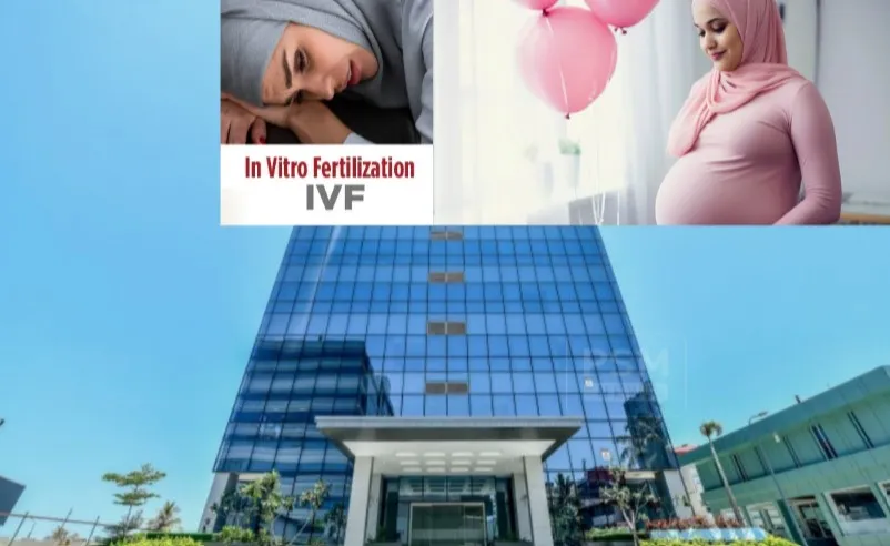 އައިޖީއެމްއެޗްގައި ފާޓިލިޓީ ސެންޓަރެއް ގާއިމުކޮށް މިއަހަރު އައިވީއެފް ފަރުވާ ދޭން ފަށަނީ