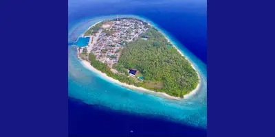 ރަސްގެތީމު ގެއަކުން ގިނަ އަދަދެއްގެ ޑްރަގް ހޯދައި މީހަކު ހައްޔަރުކޮށްފި