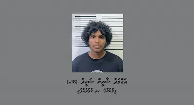 ފުލުހެއްގެ ގައިގައި ސައިކަލުން ޖައްސާފައި ފިލަން މަސައްކަތްކުރި މީހަކު ހައްޔަރުކޮށްފި