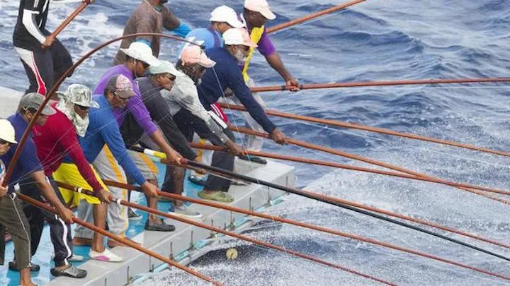 މިސަރުކާރުން މިހާތަނަށް މަސްވެރިންނަށް އެއް ބިލިއަނަށްވުރެ ގިނަ ރުފިޔާ ދޫކޮށްފި