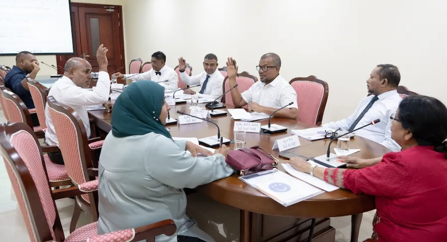 ވޭޕް މަނާކުރުމާ ގުޅޭ ބިލު ކޮމިޓީން ފާސްކޮށްފި