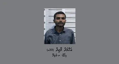 ދަބަހެއް ވަގަށް ނެގިކަމުގެ ތުހުމަތުގައި މީހަކު ހައްޔަރުކޮށްފި