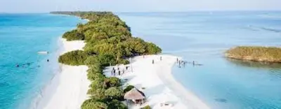 ދޯންޏެއްގެ ބުރަފަތިންޖެހި މަރުވީ 15 އަހަރު ކުއްޖެއް