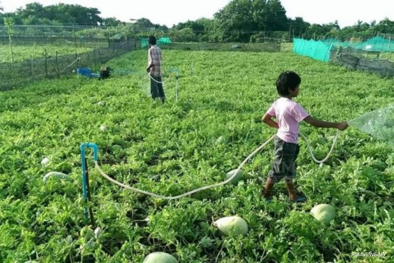 ދަނޑުވެރިކަމުގެ ތައުލީމް ފޯރުކޮށްދިނުމަށް ބޭނުންވާ ފެކަލްޓީ އެޅުމަށް ބިންހަވާލުކޮށްފި