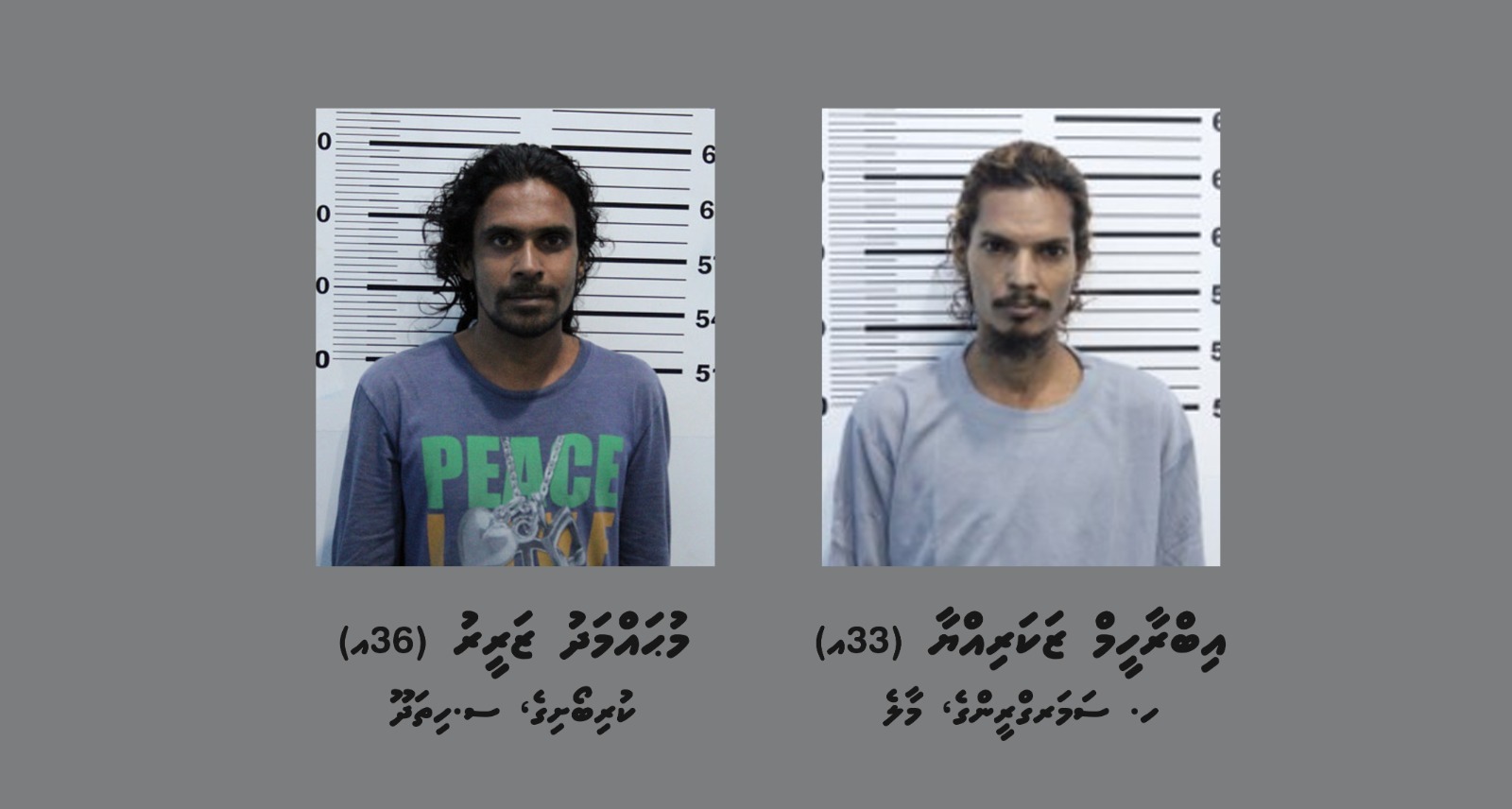 ހެންވޭރު ގެއަކުން އިލެކްޓްރޯނިކްސް ސާމާނުތަކެއް ވަގަށް ނެގި މައްސަލައެއްގައި ދެ މީހަކު ހައްޔަރުކޮށްފި