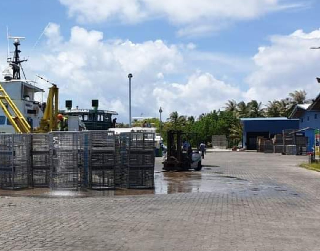 ފެލިވަރު މަސްކާރުހާނާ އަޕްގްރޭޑްކޮށް، ފިޔޯރީގައި ދުވާލަކު 100ޓަނުގެ ދަޅުމަސް ބަންދުކުރެވޭ ކާރުހާނާއެއް