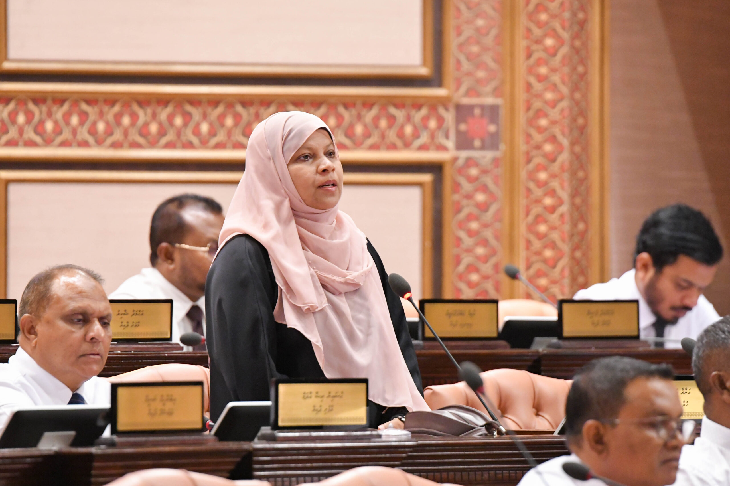 ެައަޅުގަނޑު ގަބޫލުކުރަނީ، މެންބަރަކު ހޮވާދާއިރާގެ ރައްޔިތުންގެ ވޯޓުގެ އަގުލަބިއްޔަތުން ގޮނޑި ގެއްލޭގޮތަށް އޮތުން: އަނާރާ