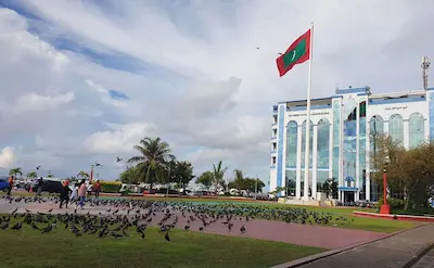 ބިންމައްޗަށް ވައްޓާލި ޓިޝޫކޮޅަކުން މަސްތުވާތަކެތި ފެނިގެން މީހަކު ހައްޔަރުކޮށް، ބަންދަށް 5 ދުވަސް