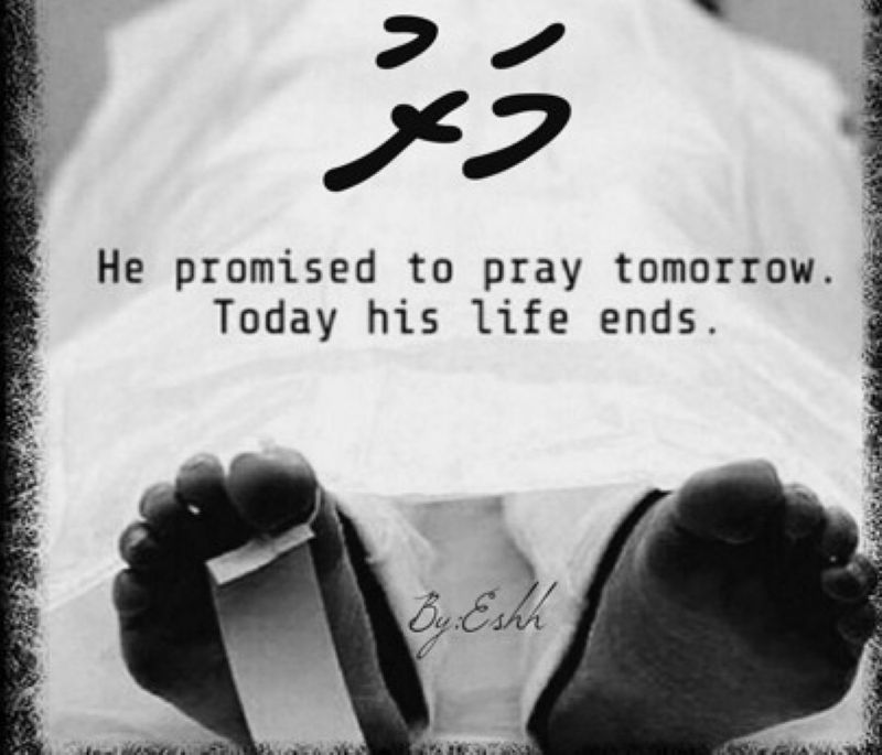 ފަތިސްތަރި: މަރު، މިހިދުވެސް ތިބާއާއި އަރާ ހަމަކޮށްފާނެ