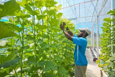 ދަނޑުވެރި ނަފާ ލޯނު ސްކީމް އިސްލާމީ އުސޫލުތަކަށް ބަދަލު ކޮށްފި