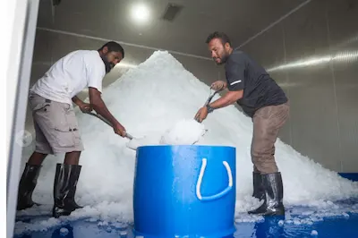 މަސް ފިނިކޮށް ބެހެއްޓޭނެ ކެޕޭސިޓީ 25،000 ޓަނަށް އިތުރުކުރުން، ސަރުކާރުގެ އަމާޒު