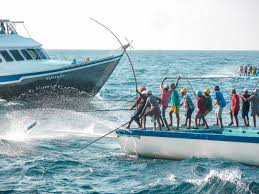 މިފްކޯއަށް މަސްކިރުވި ދޯނިތަކަށް އިއްޔެ 8 ލައްކަ، މިއަދު 6 ލައްކައަށްވުރެ ގިނަ ރުފިޔާ ދޫކޮށްފި