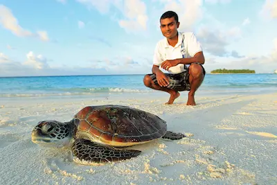 ވެލާކަހަނބުގެ ނަސްލު ރައްކާތެރިކުރުން: ބިސްއަޅާ ގޮނޑުދޮށްތައް ހިމާޔަތްކުރުމުގެ އަޒުމް ރާއްޖެއިން އާކޮށްފި