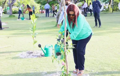 ޚާރިޖީ ވުޒާރާއިން ހުޅުމާލޭ ސެންޓްރަލް ޕާކުގައި 60 ގަސް އިންދައިފި