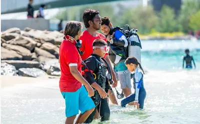 ޑިސްކަވަރ ބަބުލް ފީނުމުގެ ހަރަކާތުގައި ބައިވެރިވުމަށް ހުޅުވާލައިފި