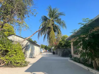 އއ. ރަސްދޫގައި ‘ހޭންޑް ފުޓް އެންޑް މައުތް ޑިސީސް’ ފެތުރެމުންދާތީ ސަމާލުވުމަށް އިލްތިމާސްކޮށްފި