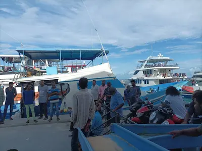 އެސްޓީއޯ ޝެޑް ރޭޓުން، ތިނަދޫއިން މަސްވެރިންނަށް ތެޔޮލިބޭނެ އިންތިޒާމު ސަރުކާރުން ހަމަޖައްސައިފި