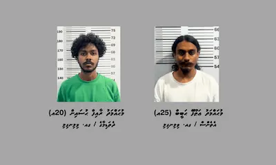 ކުޑަކުދިން ބޭނުންކޮށްގެން މަސްތުވާތަކެތީގެ ވިޔަފާރިކުރި ނެޓްވޯކެއް ވިލިނގިލިން ހައްޔަރު ކޮށްފި