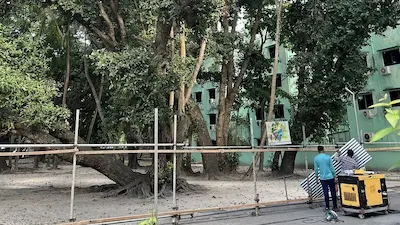ވިލިމާލޭގައި ތަރައްޤީކުރާ 3 ޓަވަރުން 1 ޓަވަރު, ފުނަގަސްތަކަށް އަސަރު ނުކުރާނެހެން ސްޓެލްކޯ ސައިޓް ސަރަހަދަށް ބަދަލު ކޮށްފި
