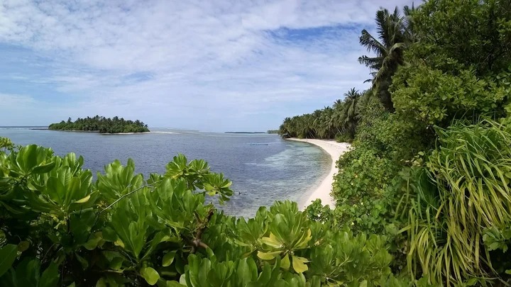 ތ ކިނބިދޫގައި ތޫނު އެއްޗަކުން ހަމަލާދީ މީހަކު ޒަޚަމް ކޮށްލައިފި
