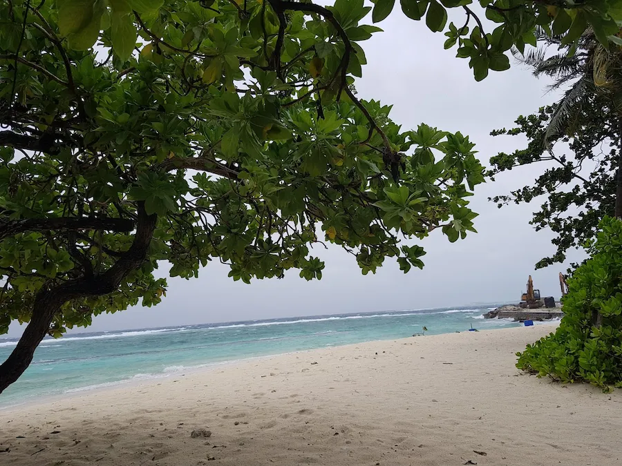 ވިލިމާލޭ މޫދަށް ފީނަން ގޮސް އުޅުނު މީހަކު މަރުވެއްޖެ
