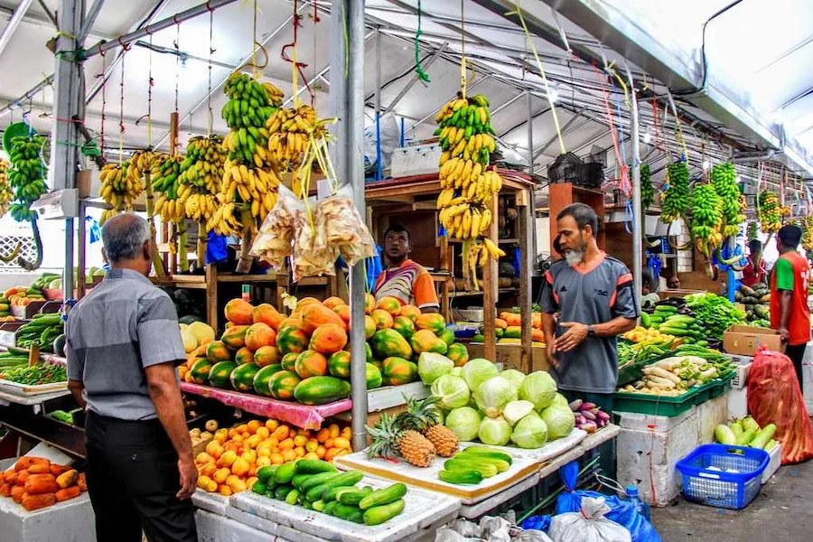 ދަތުރުފަތުރުގެ ނިޒާމު ތަރައްޤީ ކުރުމުން ޤައުމީ ތަރައްޤީއަށް ބޮޑެތި ފައިދާތަކެއް ލިބޭނެ