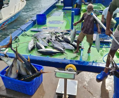 ގައުމީ ދަފްތަރުގައި ހިމެނޭ 89 މަސްވެރިޔަކަށް ބީއެމްއެލްގެ ލޯނު ދޫކޮށްފި