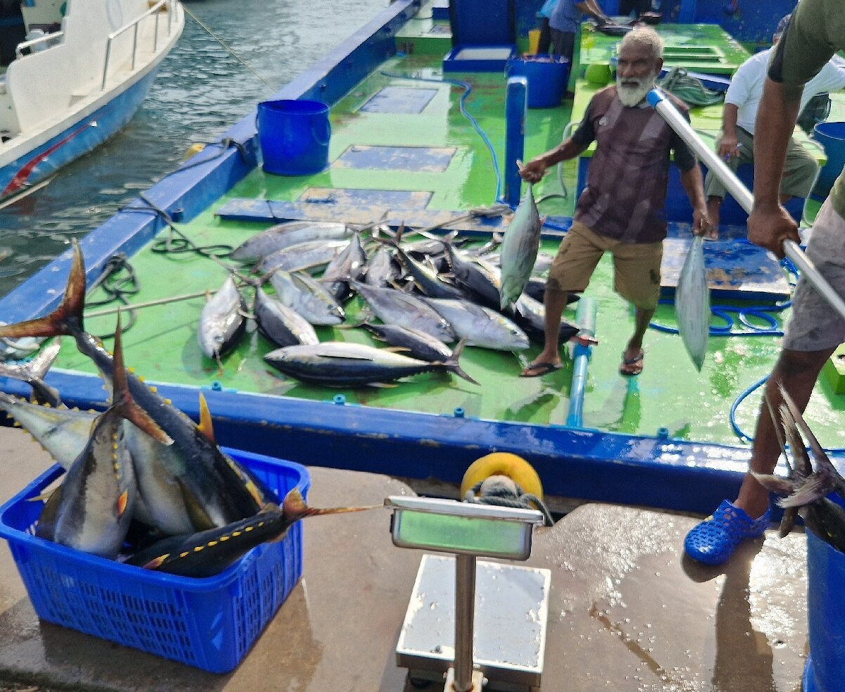 ގައުމީ ދަފްތަރުގައި ހިމެނޭ 89 މަސްވެރިޔަކަށް ބީއެމްއެލްގެ ލޯނު ދޫކޮށްފި