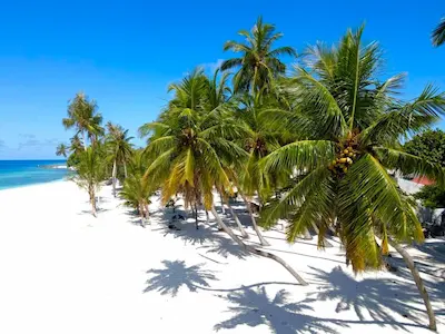 ކިނޮޅަހުގައި ފުލުހުންގެ ޕޯސްޓެއް އިމާރާތްކުރުމުގެ އަމަލީ މަސައްކަތަށް އެމްޓީސީސީ ތައްޔާރު!