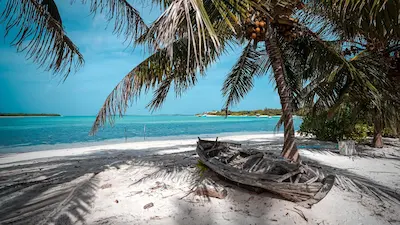 ބާރަށުގައި ސިހުރުވެރީން ހޯދަން އޮޕަރޭޝަނެއް ހިންގައި 8 މީހަކު ބަންދުކޮށް ސުވާލުކޮށްފި