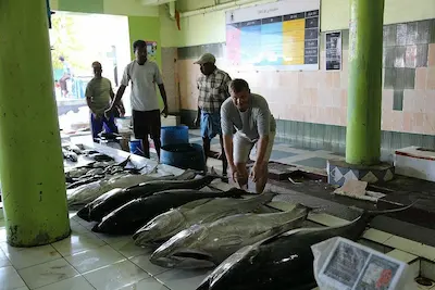 މާލޭ އާ މަސްމާރުކޭޓު ޒަމާނީ ފެންވަރަށް ތަރައްގީ ކުރުމުގެ މަސައްކަތް ޖުލައިމަހު ފަށަނީ
