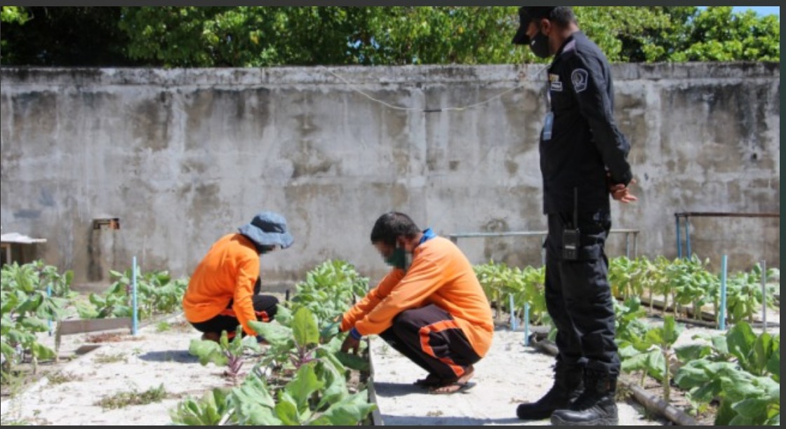 ކަރެކްޝަނުން ހާލުގައި އުޅޭ 10 ގައިދީއެއްގެ އާއިލާއަށް ފައިސާގެ އެހީ ދީފި