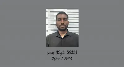 ގަވާއިދާ ހިލާފަށް ސިނގިރޭޓު ކާޓަންތަކެއް ނެރެން އުޅުނު މައްސަލައިގައި އިތުރު މީހަކު ހައްޔަރަށް!