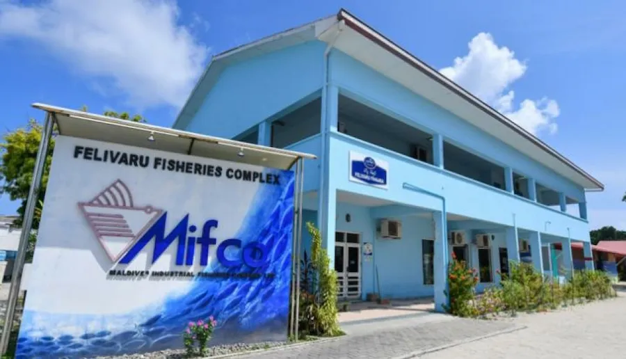 ދޯންޏަކުން ކިރުވި މަހަށް 3 މިލިޔަނަށްވުރެ ގިނަ ރުފިޔާ މިފްކޯއިން ޖަމާކޮށްދީފި
