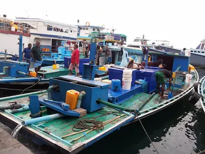 ނަގިލިލާފައި އޮންނަ އުޅަނދުފަހަރުގައި ފަޅުވެރިން ތިބުން ލާޒިމްކޮށްފި